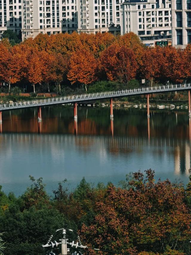 值此红黄，新蒲初冬画卷已打开！