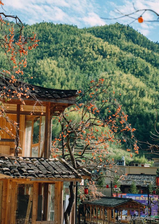 福建屏南打卡攻略 | 邂逅闽东小众宝藏地！