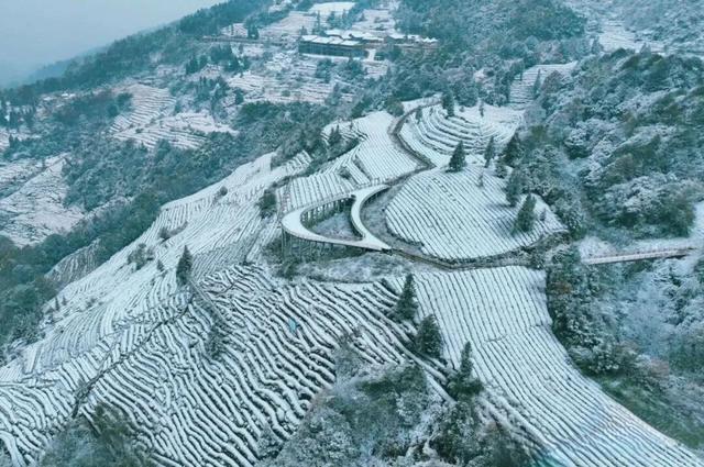 回答我，蒙顶山的雪景美不美？？