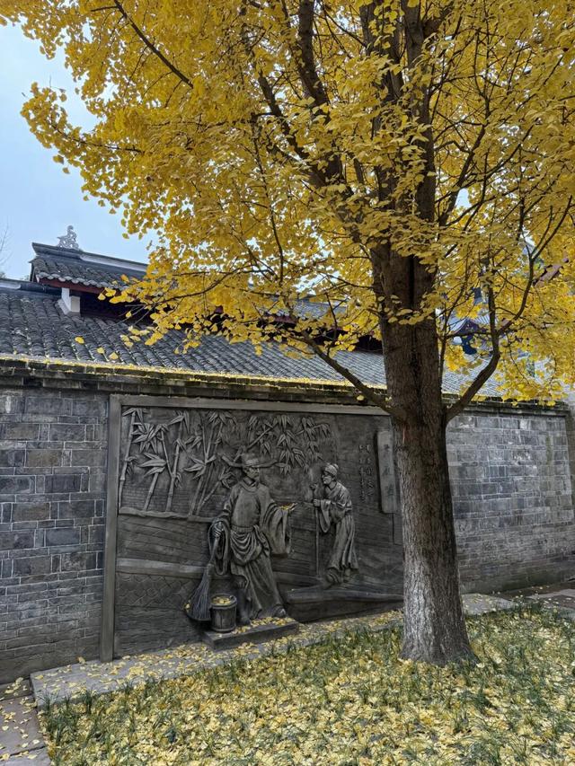 不用急，不用赶，来纯阳观拾起冬日慢时光