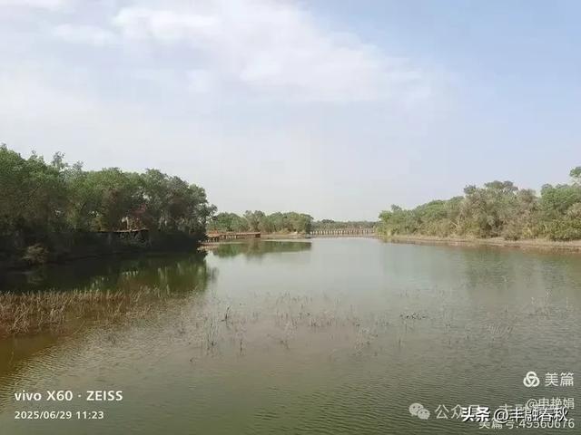 探秘新疆巴楚红海景区：自然与人文的交响｜ 申艳娟