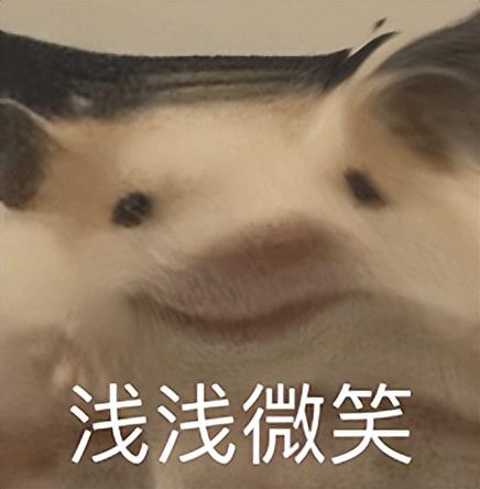 又一提前发布的顶配国产神机，要逼死小米啊？