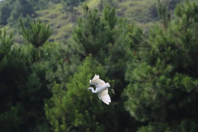 怀集的四季！带你回顾，带你深入