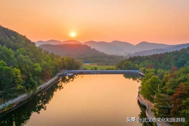 从水杉红到锁情台，每一步都踩在秋的调色盘上|九真山秋游全攻略