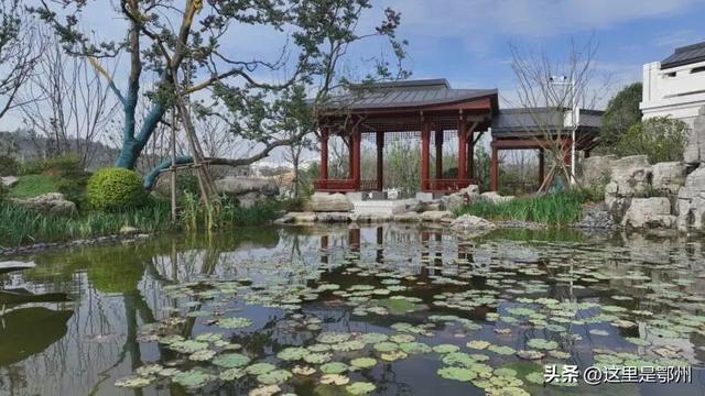 走进园博园鄂州园，揭秘“鄂州山水赋”的园林智慧