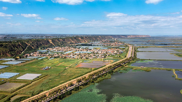 大美大荔，从“起势”到“腾飞”——“十四五”大荔县经济社会高质量发展纵览