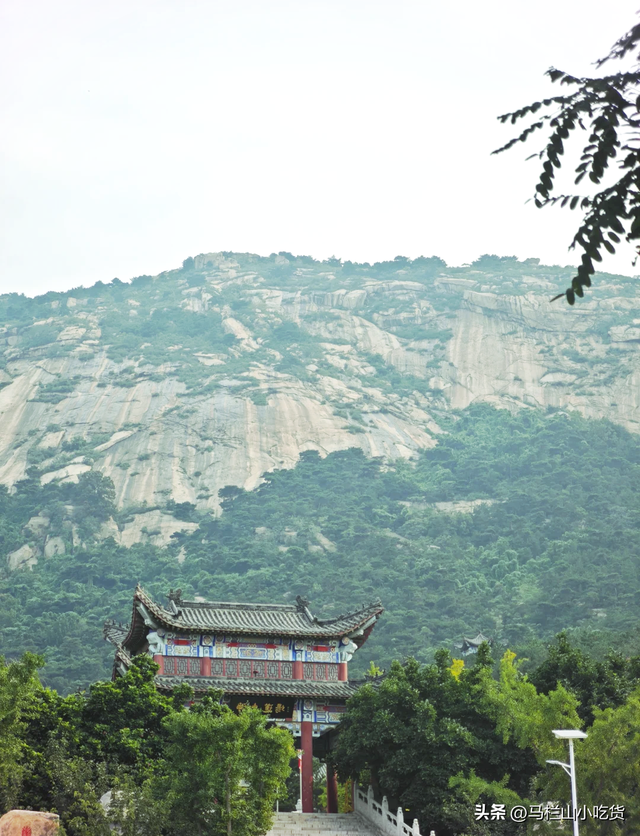 山东滨州保姆级攻略，藏在鲁北的宝藏小城太好逛了！