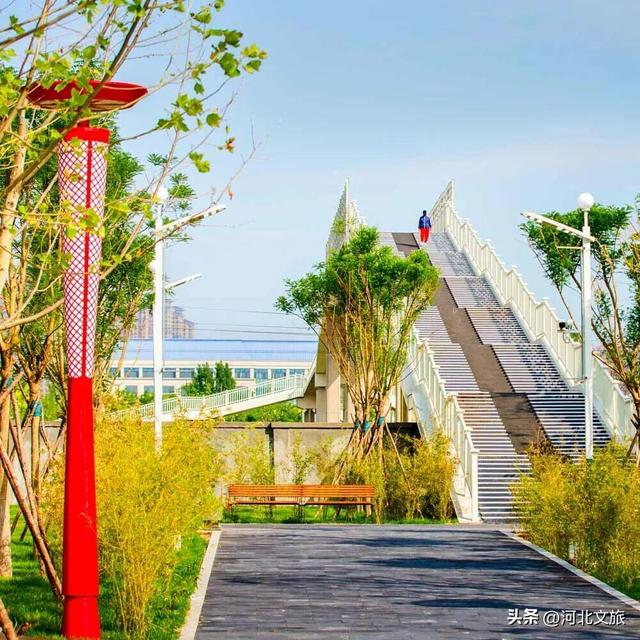 秦皇岛最大临海公园迎来"颜值巅峰",栈桥听海、枫林斑斓,打卡走起!