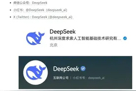 DeepSeek紧急声明图片