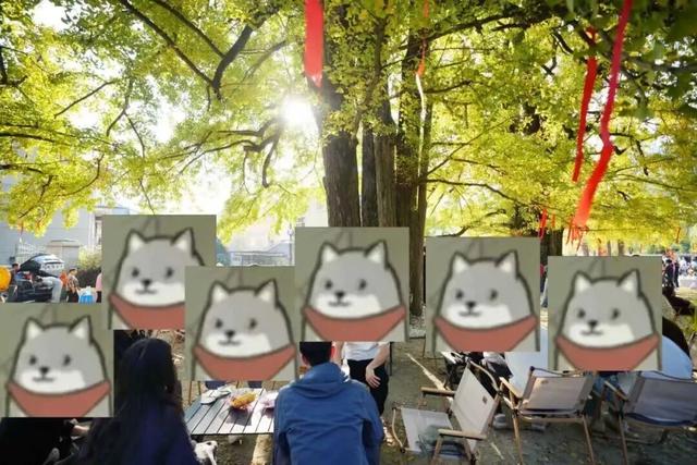 游客纷纷赶来！富阳这个村，又要火了