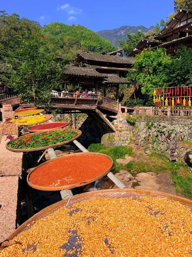 刚从温州回来，毫不夸张的说：未来最有闯劲的城市肯定是温州