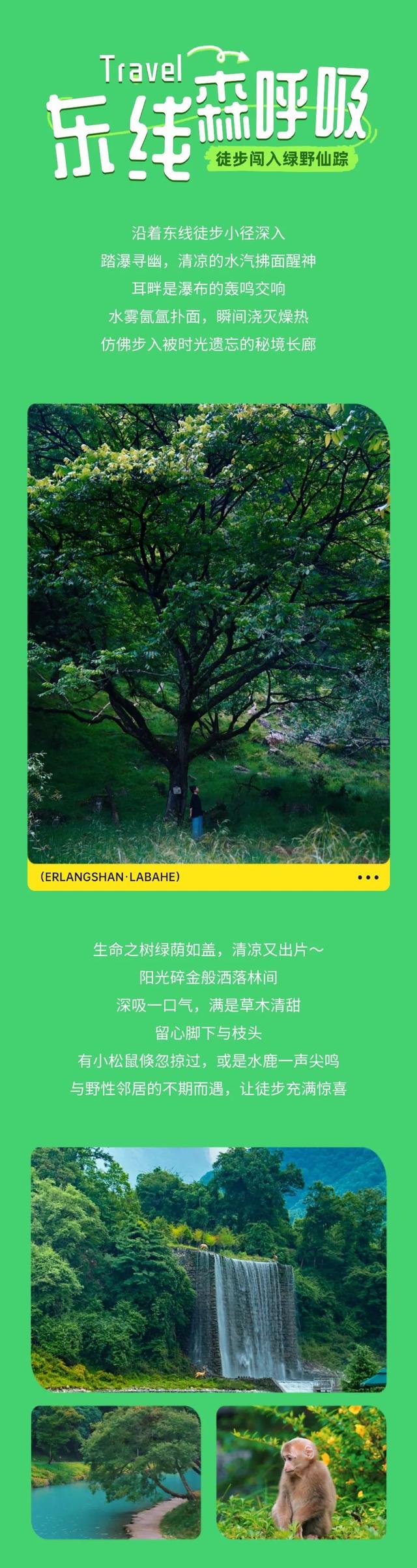 成都周边3h可达宝藏避暑地！来喇叭河一键降温！山风制冷超带感！