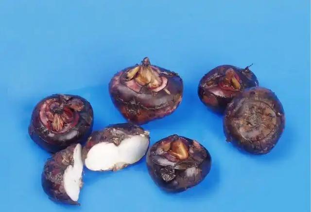 马蹄立大功?研究发现:马蹄可在48小时清除50%炎症因子?
