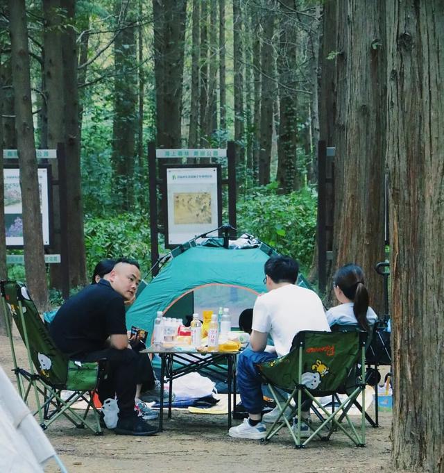 “追景指数”上升！日照这四大热点景区，上榜！