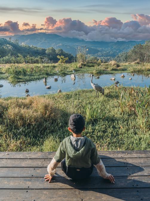 湄公河旅游旗下湖州长颈鹿庄园斩获2025“游乐界·金冠奖”杰出亲子乐园奖