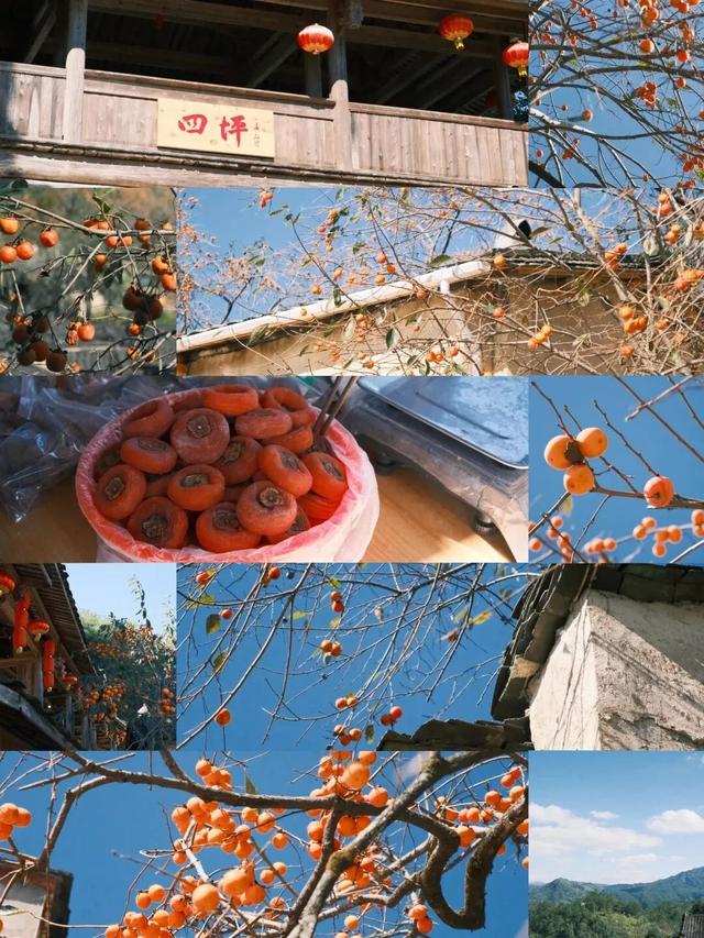 神仙不输泉州，这座闽东小城也有封神的秋天