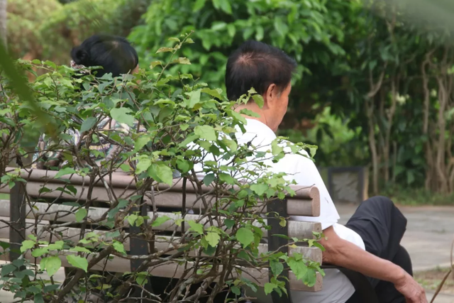 带父母出去旅游一次才发现，“没苦硬吃”真扫兴