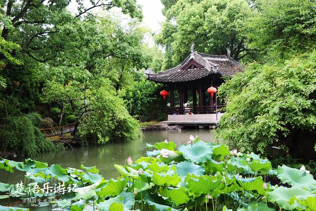 绍兴鲁迅点烟的版画居然被吐槽？有点矫枉过正，但周边的景色真美