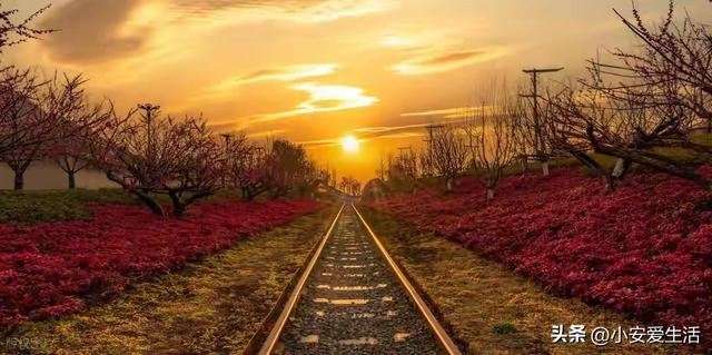 人际交往的隐秘法则：矛盾，为何不能轻易示人？