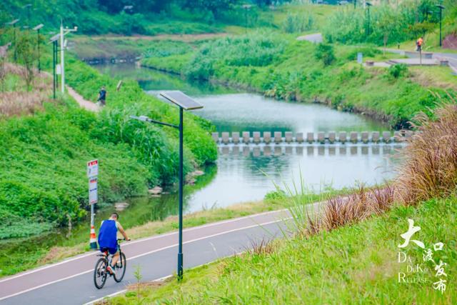 骑行,到大渡口(附线路)