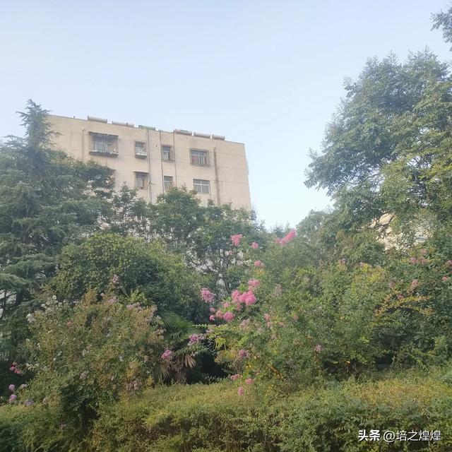 这是哪里？悄悄，悄悄