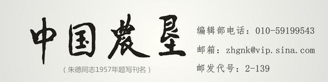 农垦文苑 | 生命的高度