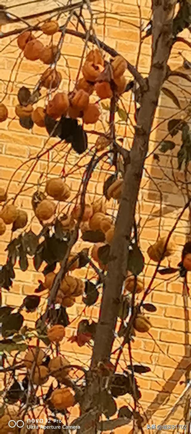 现实版的背信弃义的人，竟然挖了朋友的墙角