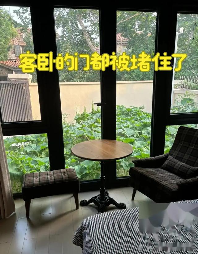 女子离家半个月，一院子南瓜“成了精”，网友：天呐，羡慕死了！