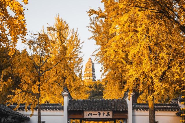 去江苏苏州玩了 1 周回来，说句大实话，苏州真不是所有人能适应的