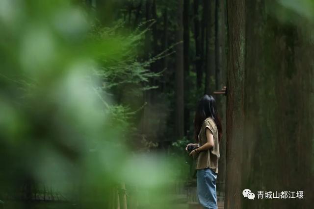 报告！新发现都江堰隐藏款“绿野仙踪”🤟