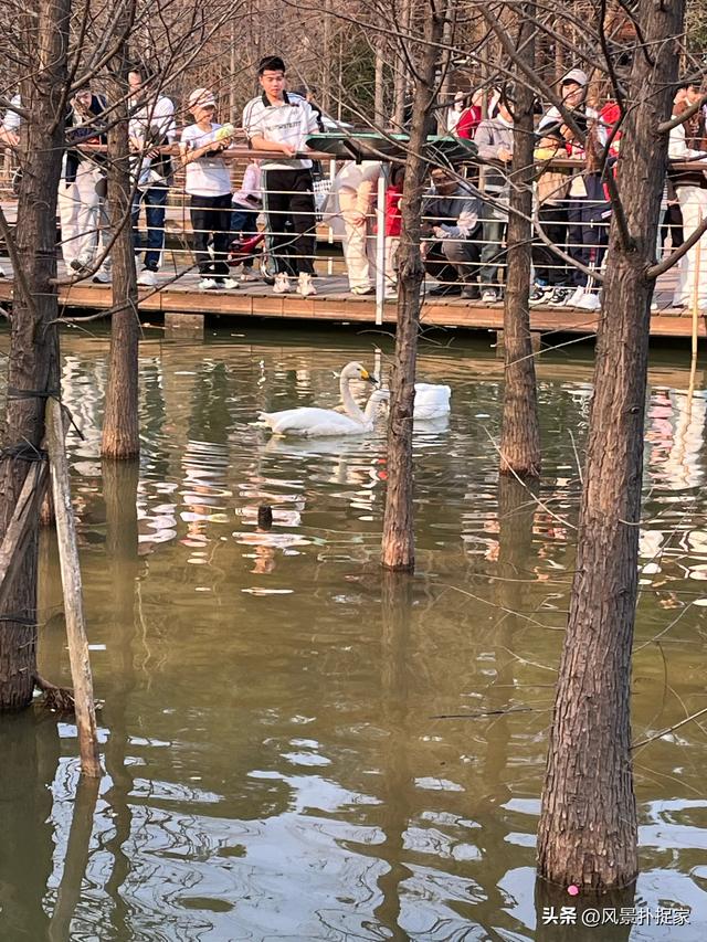 南昌林科院，散步休闲好去处！