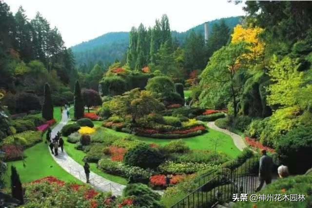 从矿坑废墟到园艺传奇：布查特花园华丽蝶变的百年传奇