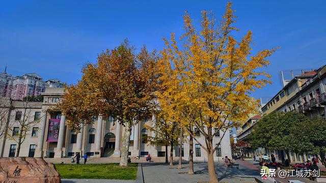 霜影下的城市绯霞