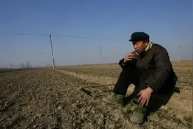 土地承包延长30年正式试点！新生儿没地、户口迁入城镇该咋办？图片