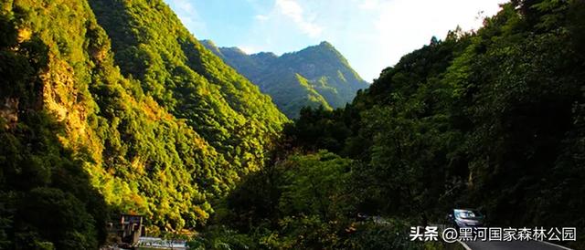 趁秋色未浓，看看黑河被浓墨重彩染过的绿