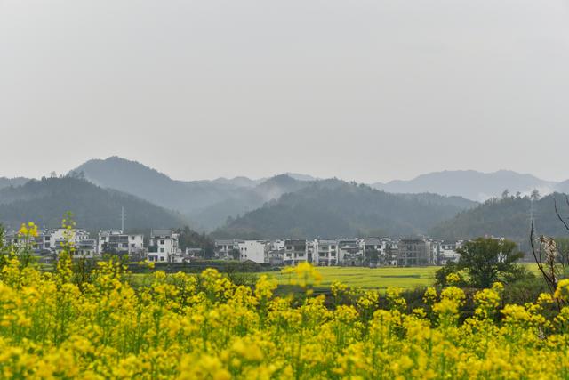 婺源月亮湾