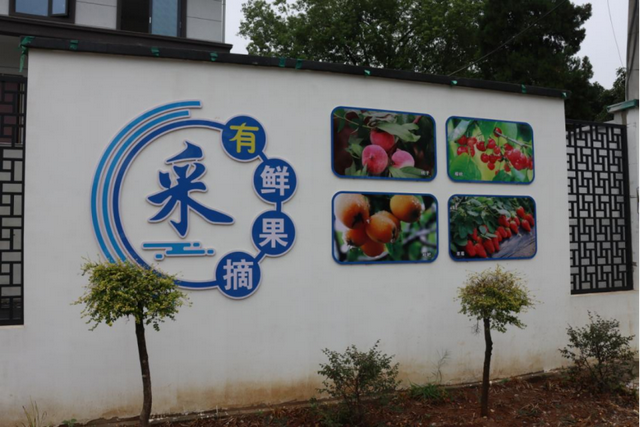 钟祥毕家湾：民宿经济盘活了城市边的小乡村
