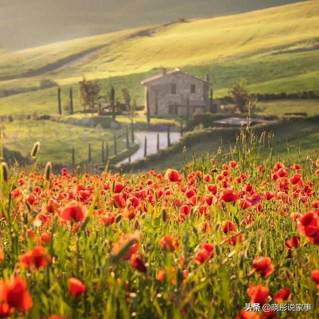 人一过60，永远不要在熟人面前，说以下几句话	，谁说谁后悔，切记