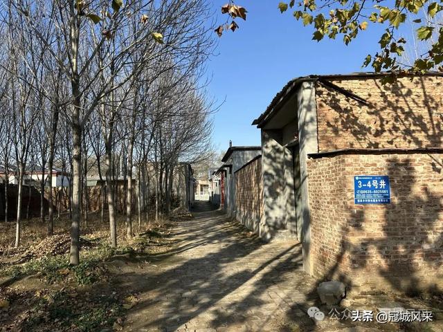 冠县乡韵·贾镇岑庄