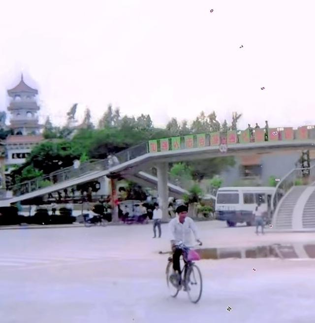 龙峰塔下，聆听龙华三十余载步履与回响