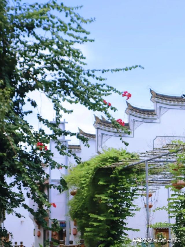 藏不住了！这个小众避暑胜地，带娃玩出千年“穿越感”