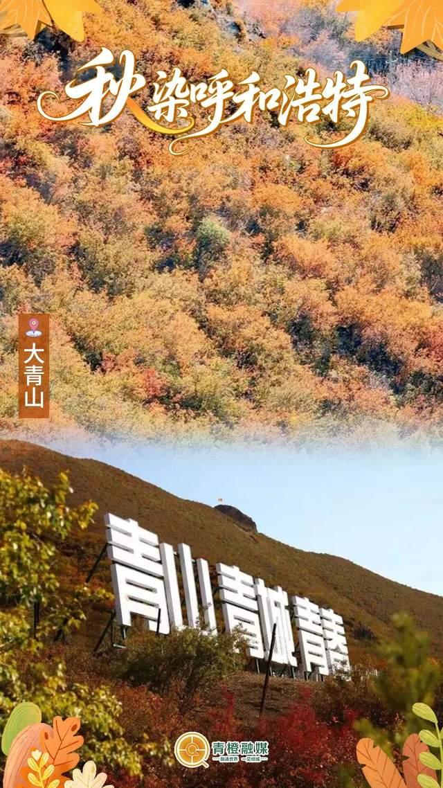 再过几天，呼和浩特就要变成这样了→