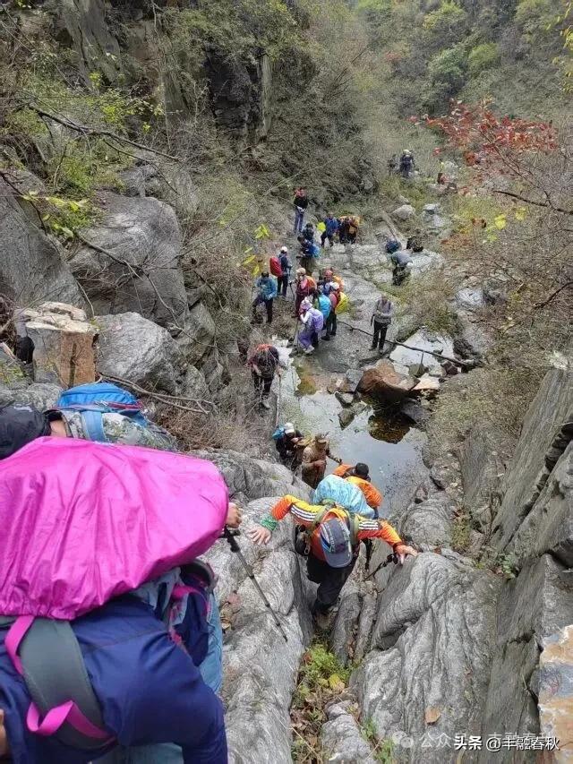 爬草双(外一首)| 罗锋