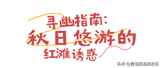 实拍大片！西海岸这片红海滩太红红红红了