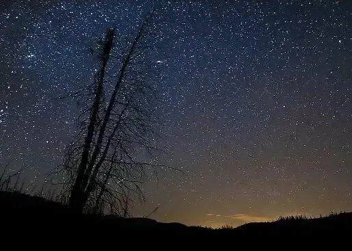适合初冬做的20件小事