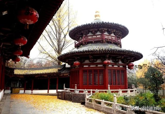 莫错过！西安周边10个公园的梅花暗香浮动，等着你去打卡观赏！