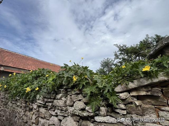 莱芜禹王山顶有座明初建立的古村：东平洲