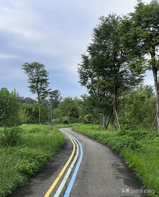 成都最近的原野公园，超级惊艳，一个湖风景就是王者，公交直达！