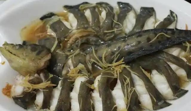大恐怖？广东男子夜钓连钓3条大油锥！网友：收竿！水下有腐尸！