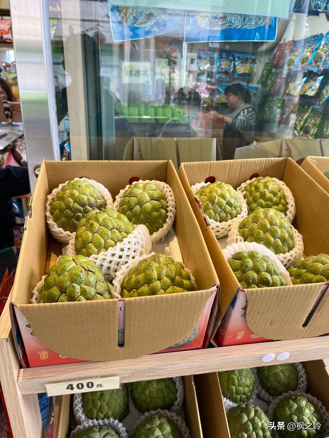 台湾游记：台东印象